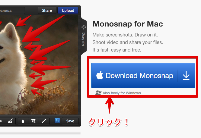 monosnap access to dropbox files allow